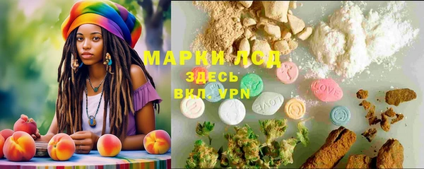 соль ск Алексин