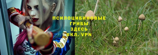 мескалин Абаза