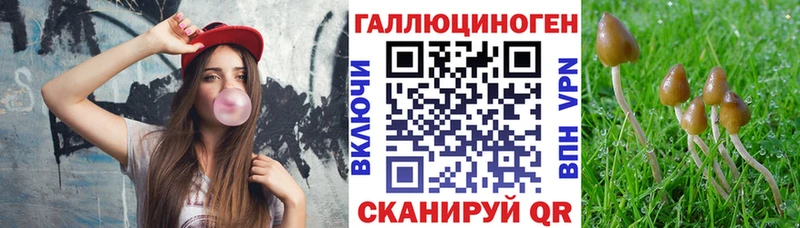 Псилоцибиновые грибы мицелий  купить наркотики цена  Инта 