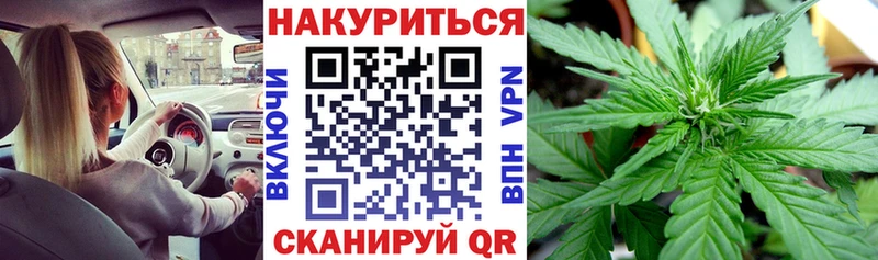 Шишки марихуана Amnesia  Инта 